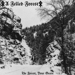 Reviews for A Felled Forest - The Forest, Your Grave