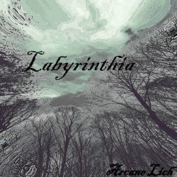 Arcane Lich - Labyrinthia