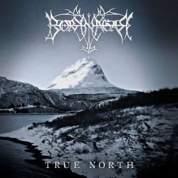 Reviews for Borknagar - True North