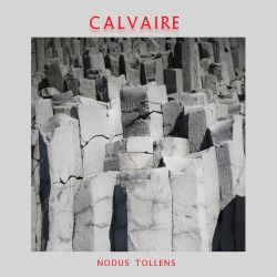 Reviews for Calvaire (SGP) - Nodus Tollens