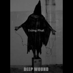 Reviews for Deep Wound - Trừng Phạt