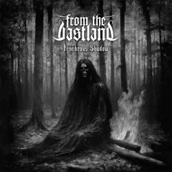 Reviews for From the Vastland - Tenebrous Shadow