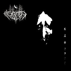 Reviews for Insanity Cult - Κάθοδος