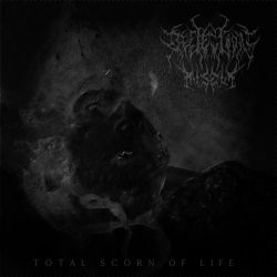 Reviews for Reflection of Misery - Total Scorn of Life