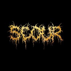 Reviews for Scour - Gold