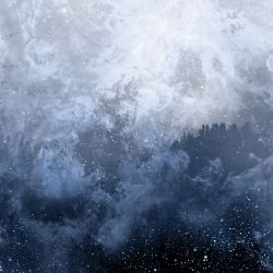 Reviews for Wolves in the Throne Room - Celestite