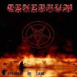 Reviews for Tenebrum - Forsaken by Hope