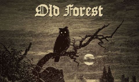 Old Forest streaming new album in full ahead of tomorrow's release