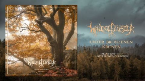 New song from Waldgeflüster